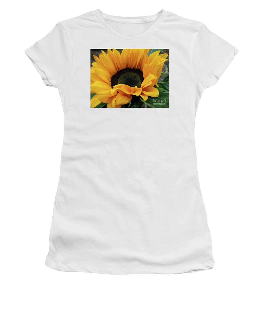 Sunflower Women's T-Shirt featuring the photograph Bright Sun 5 by Kim Tran