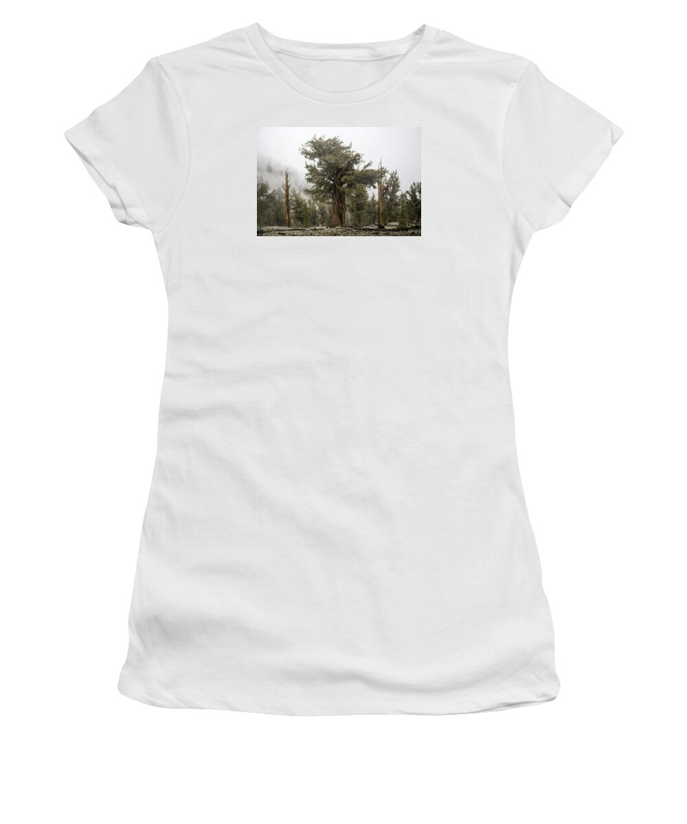 Bristlecone Women's T-Shirt featuring the photograph Bristlecone Elder by Dusty Wynne