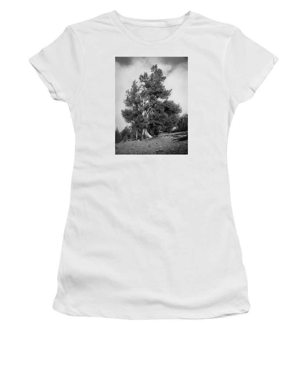 Bristlecone Women's T-Shirt featuring the photograph Bristlecone Pine by Dusty Wynne