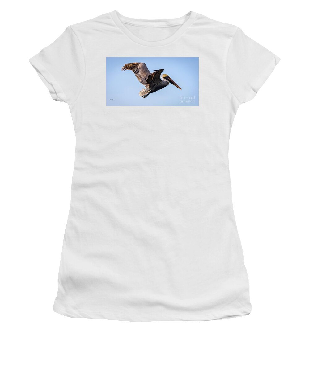 Nature Women's T-Shirt featuring the photograph Brown Pelican In Flight - Pelecanus Occidentalis by DB Hayes