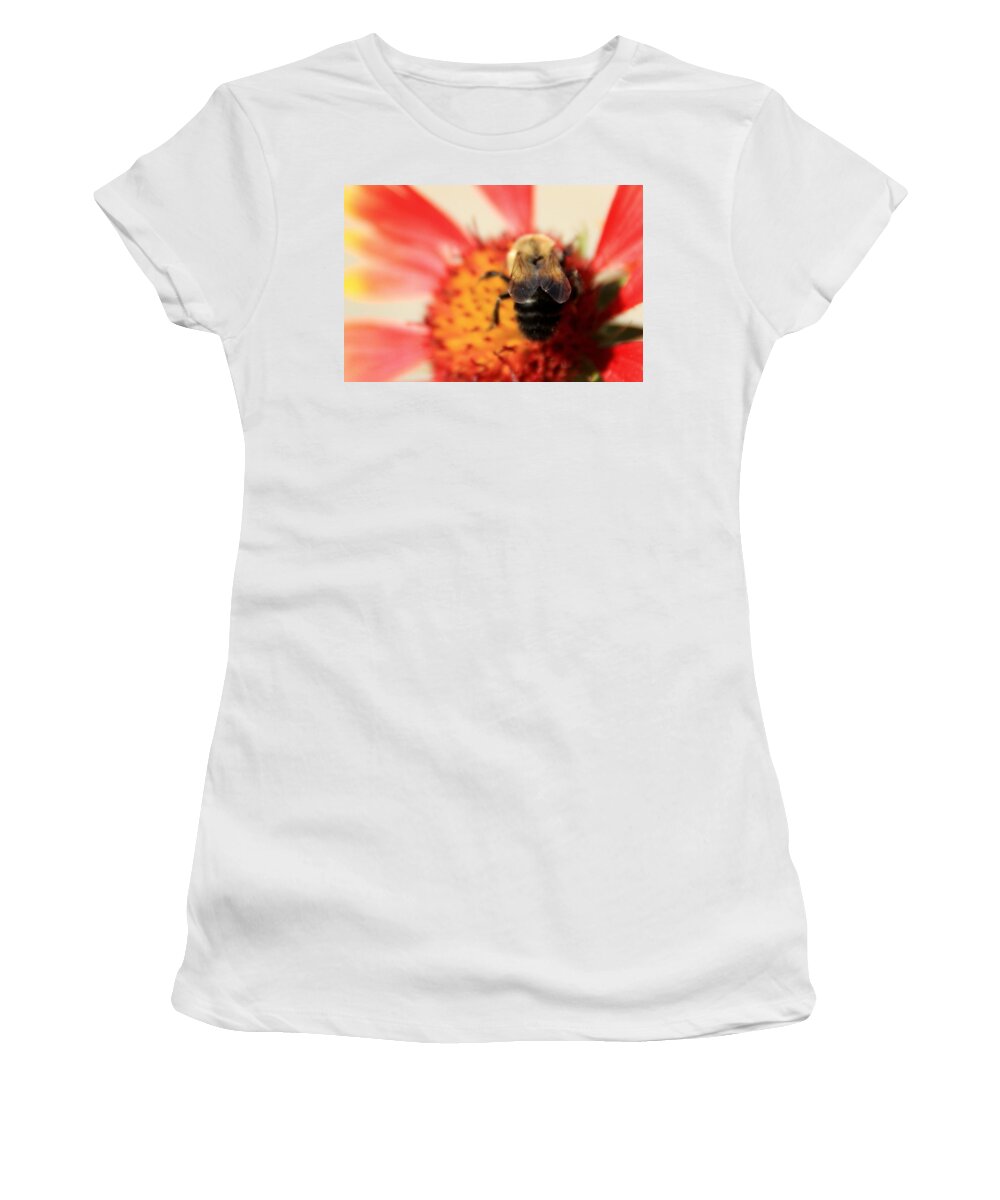 Insect Women's T-Shirt featuring the photograph Bumblebee on Blanket Flower by Chris Berry
