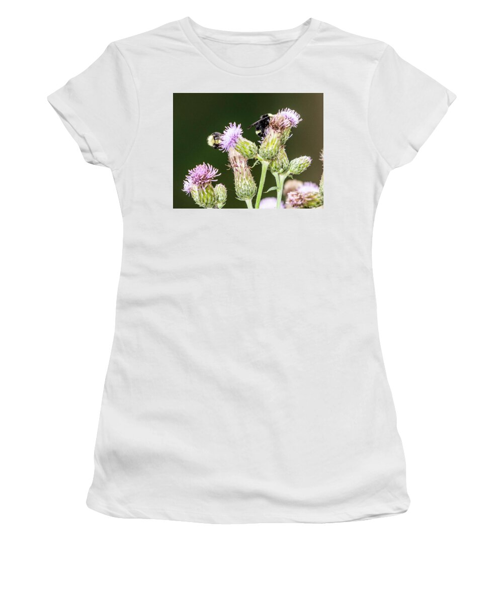 Bees Women's T-Shirt featuring the photograph Bumblebees on Thistle by Timothy Anable