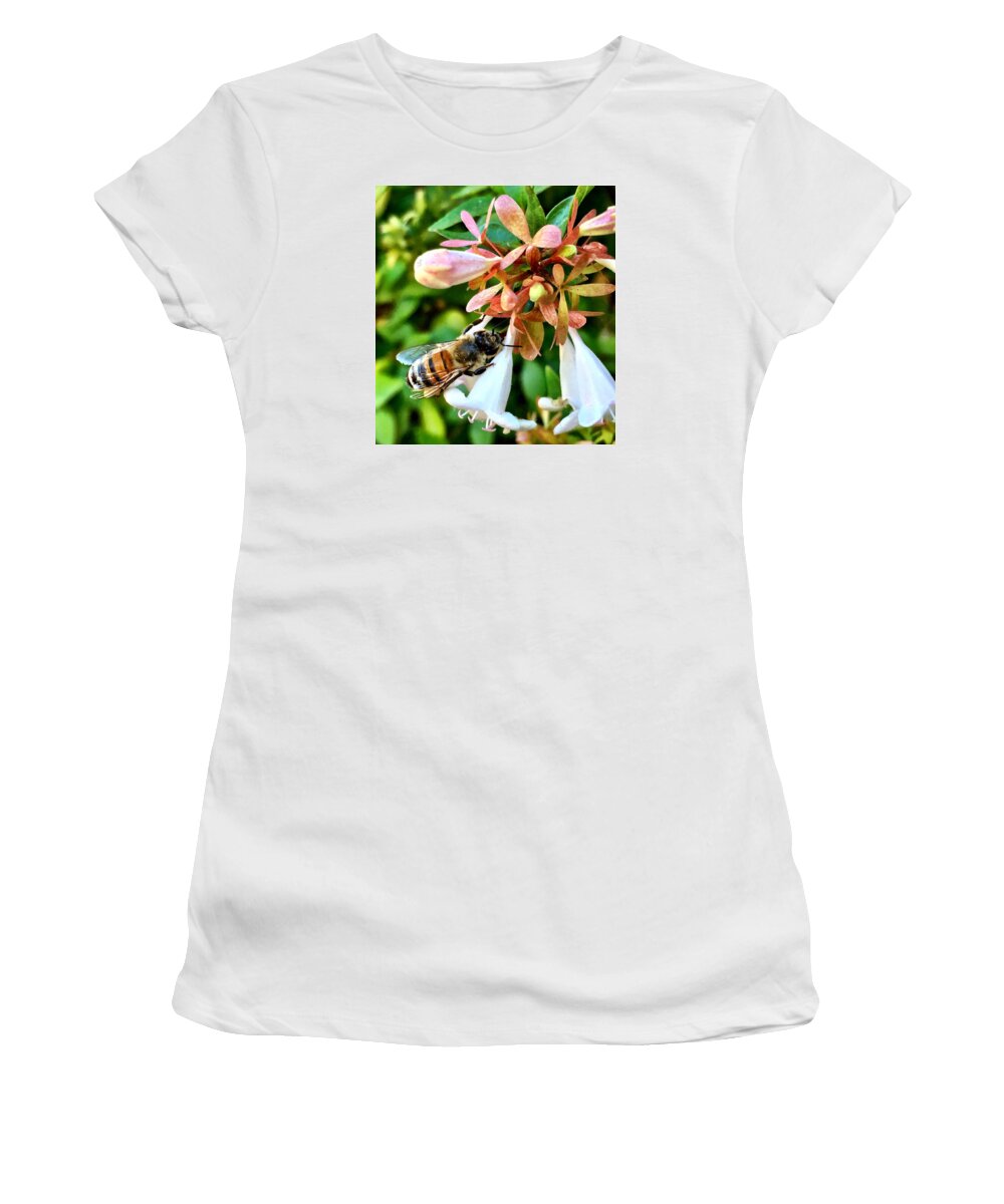 Bee Women's T-Shirt featuring the photograph Busy As a Bee by Brad Hodges