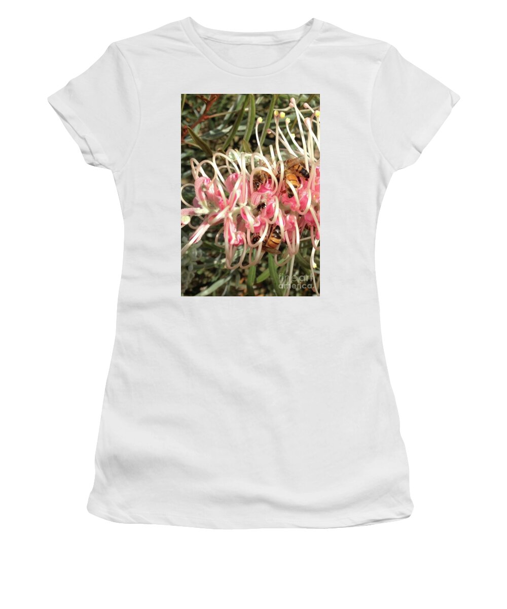 Busy Buzzing Bees Women's T-Shirt featuring the photograph Busy Buzzing Bees on Grevillea Flower by By Divine Light