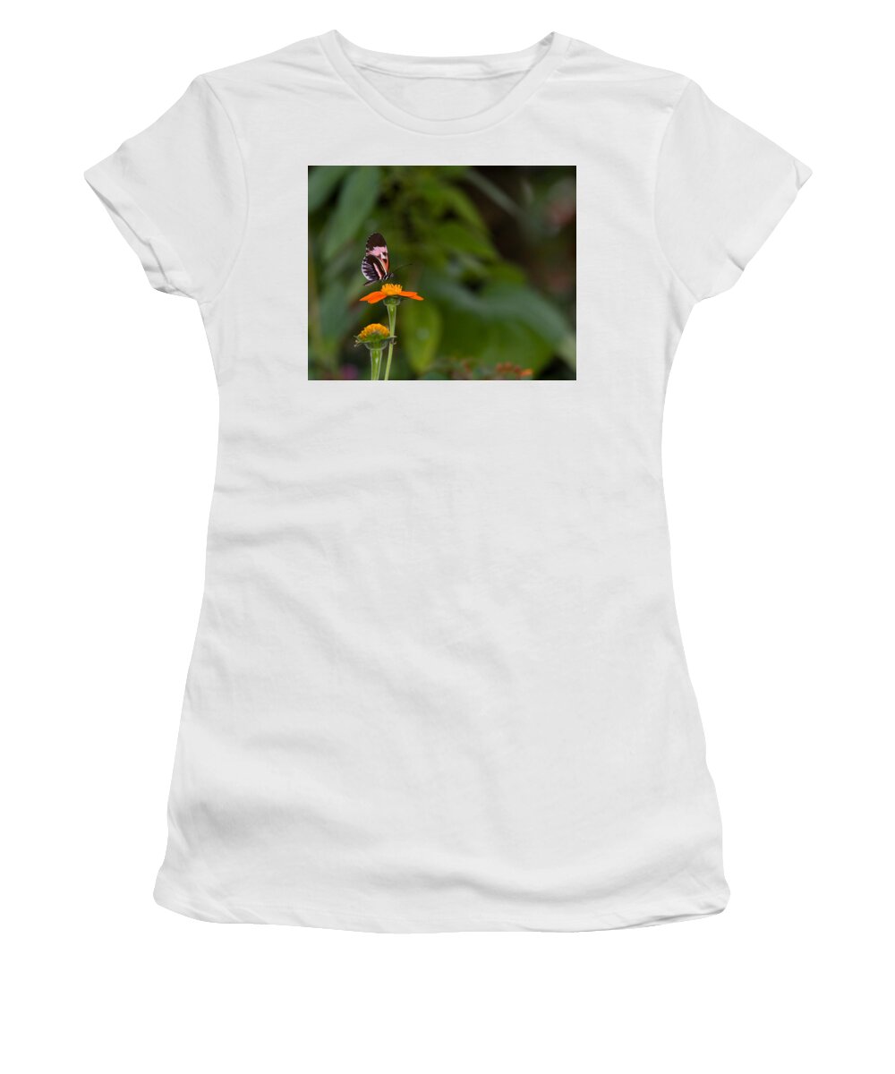 Butterfly Women's T-Shirt featuring the photograph Butterfly 26 by Michael Fryd
