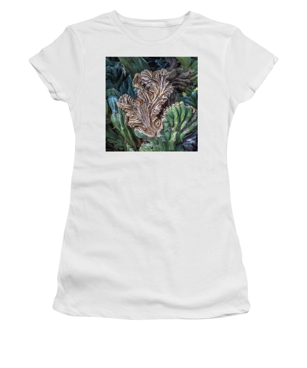 Cactus Women's T-Shirt featuring the photograph Cactus Abstract 5744-041018-1cr by Tam Ryan