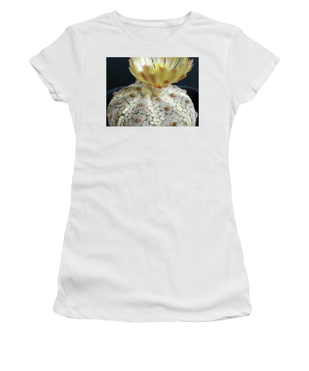 Cactus Women's T-Shirt featuring the photograph Cactus Flower 1 by Selena Boron