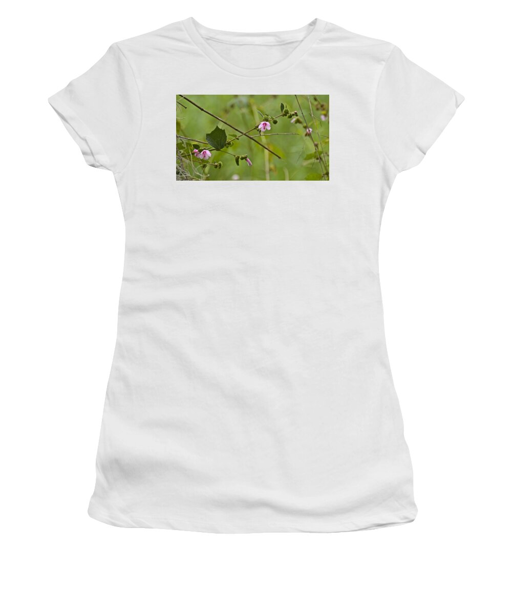 Weed Women's T-Shirt featuring the photograph Caesar Weed by Carol Bradley