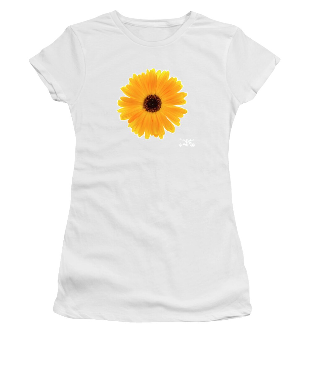 Calendula Women's T-Shirt featuring the photograph Calendula flower by Elena Elisseeva