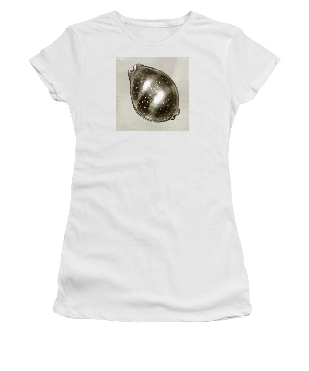 Seashell Women's T-Shirt featuring the painting Calf Cowrie by Judith Kunzle