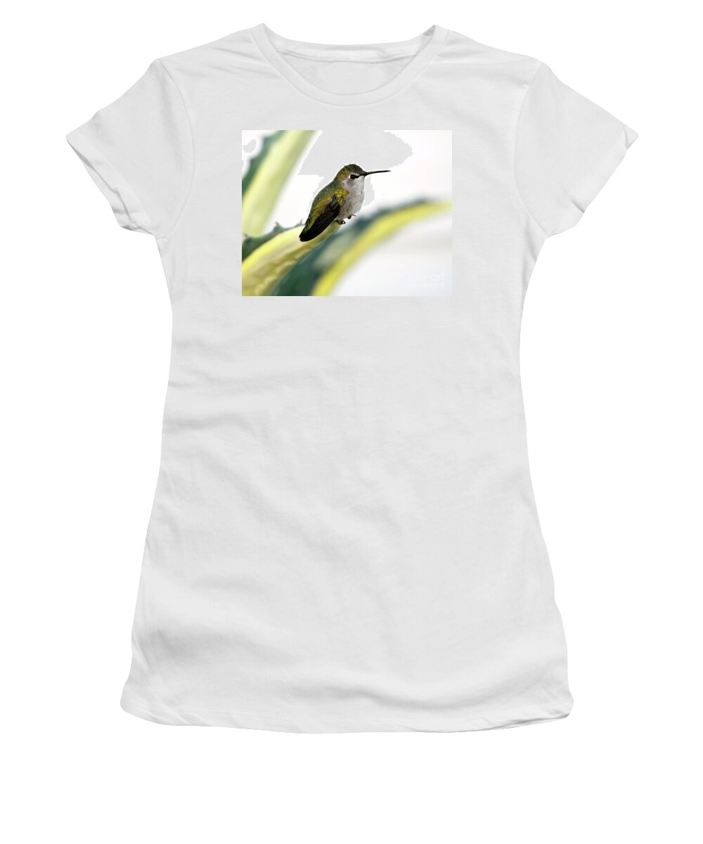 Denise Bruchman Women's T-Shirt featuring the photograph Calliope Hummingbird on Agave by Denise Bruchman