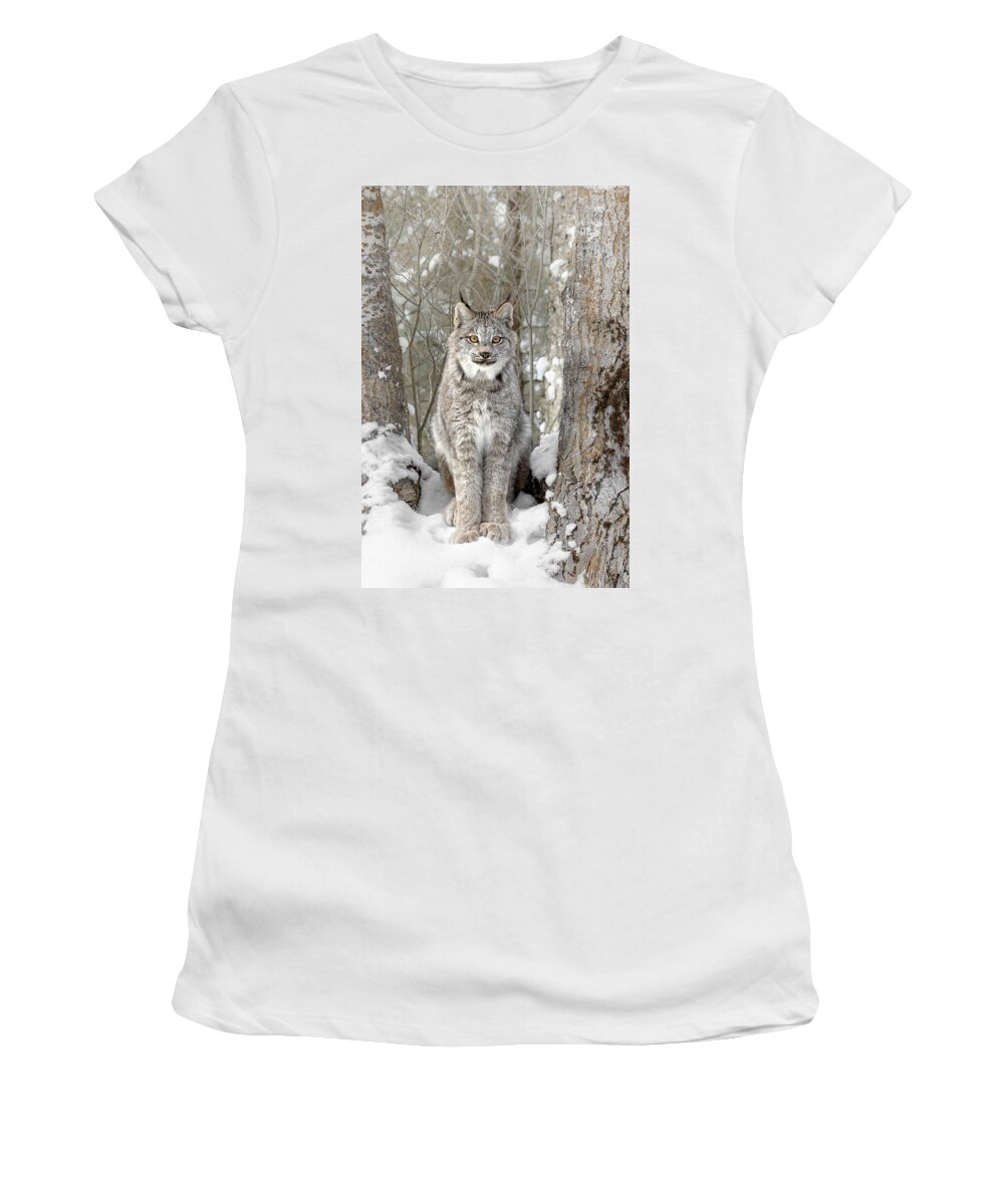 Canadian Wilderness Lynx Women's T-Shirt featuring the photograph Canadian Wilderness Lynx by Wes and Dotty Weber