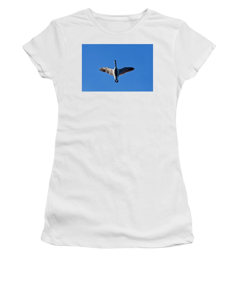 Canadian Women's T-Shirt featuring the photograph Candian Goose in Flight 1648 by Michael Peychich