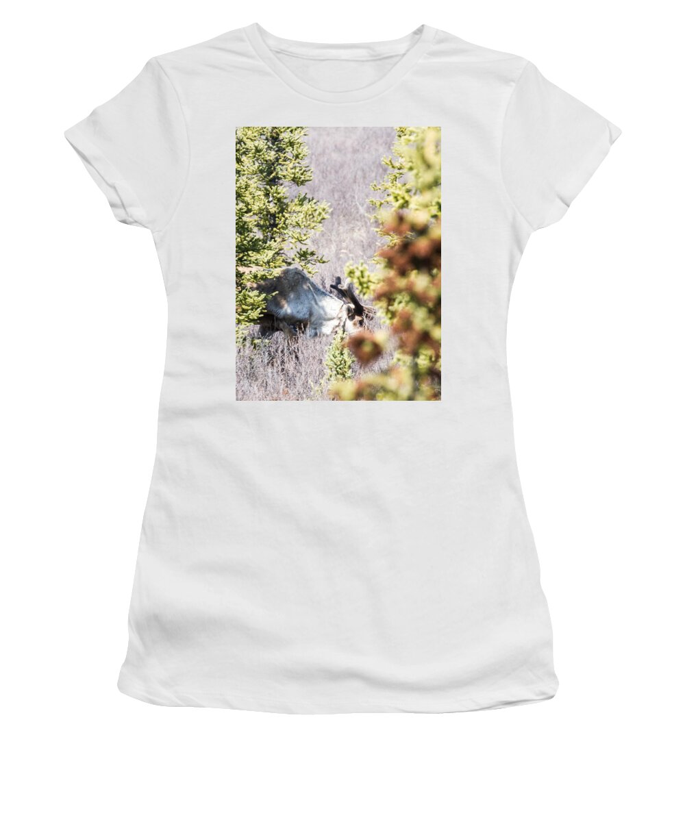 Eating Women's T-Shirt featuring the photograph Caribou Eating Lichens by Allan Levin