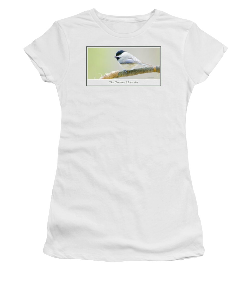Bird Women's T-Shirt featuring the photograph Carolina Chickadee, Animal Portrait by A Macarthur Gurmankin