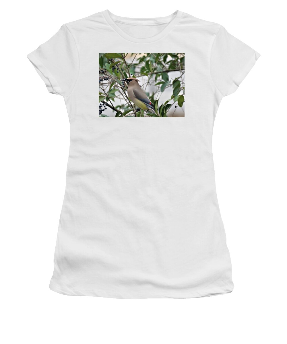 Kathy Long Women's T-Shirt featuring the photograph Cedar Waxwing 3 by Kathy Long