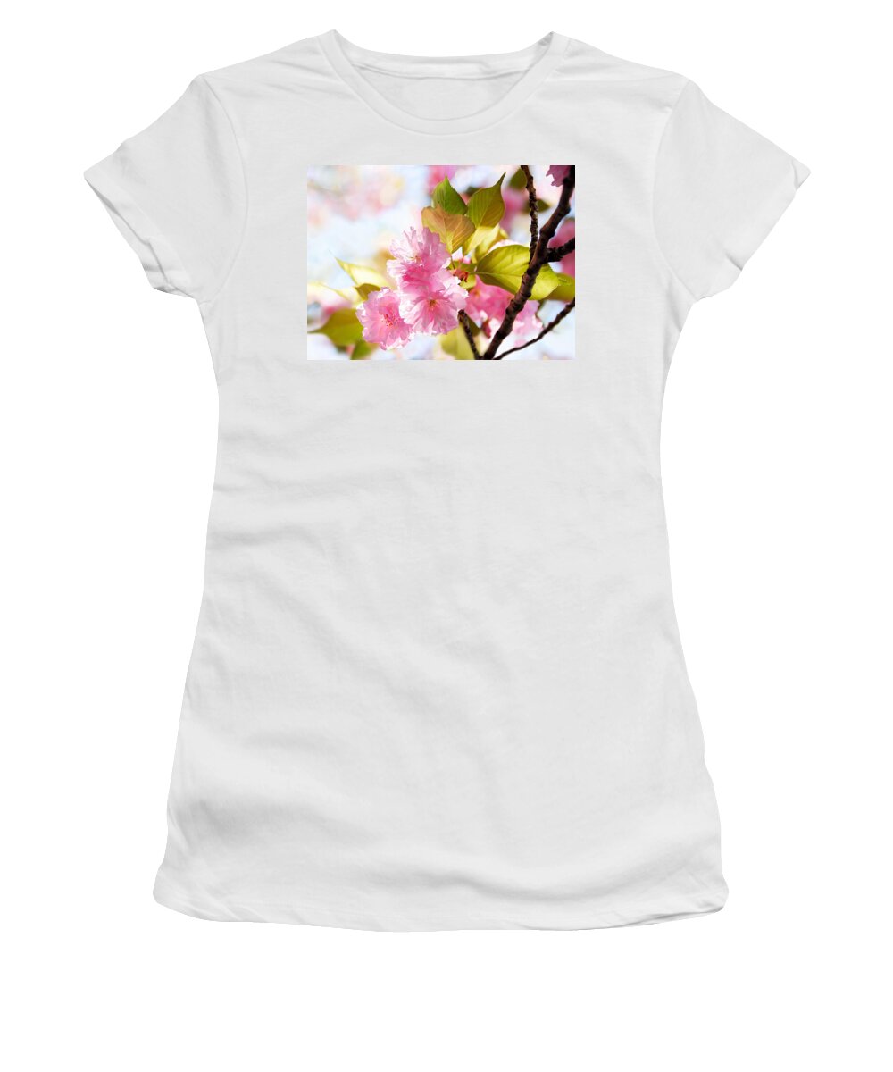 Cherry Women's T-Shirt featuring the photograph Cherry Blossom Spring by Frances Miller
