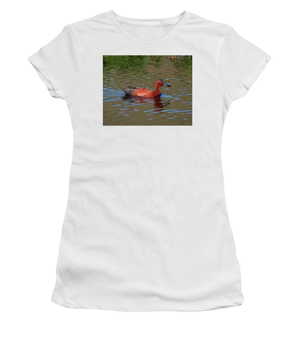 Mark Miller Photos Women's T-Shirt featuring the photograph Cinnamon Teal in Pretty Water by Mark Miller
