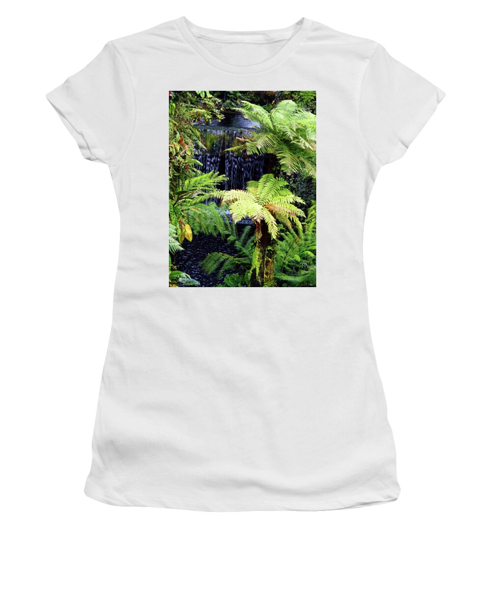 Cloud Forest Women's T-Shirt featuring the photograph Cloud Forest 28 by Ron Kandt