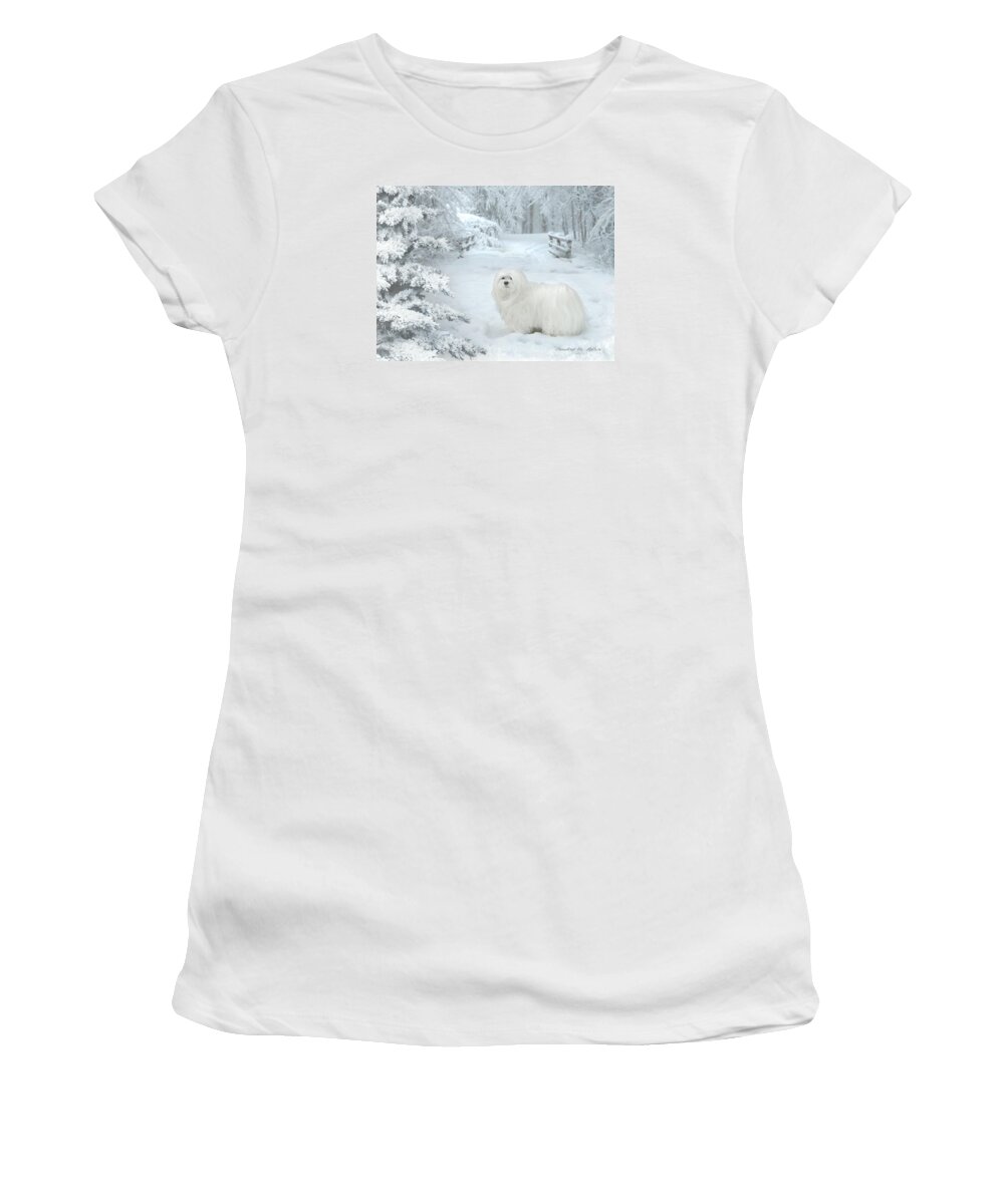 maltese Dog Christmas Women's T-Shirt featuring the mixed media Cold Feet by Morag Bates