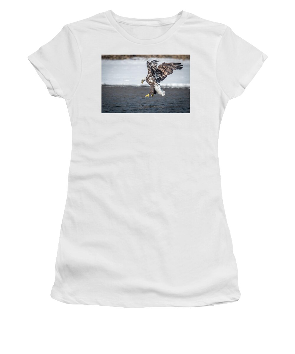 Bald Eagle Women's T-Shirt featuring the photograph Concentration by Paul Freidlund