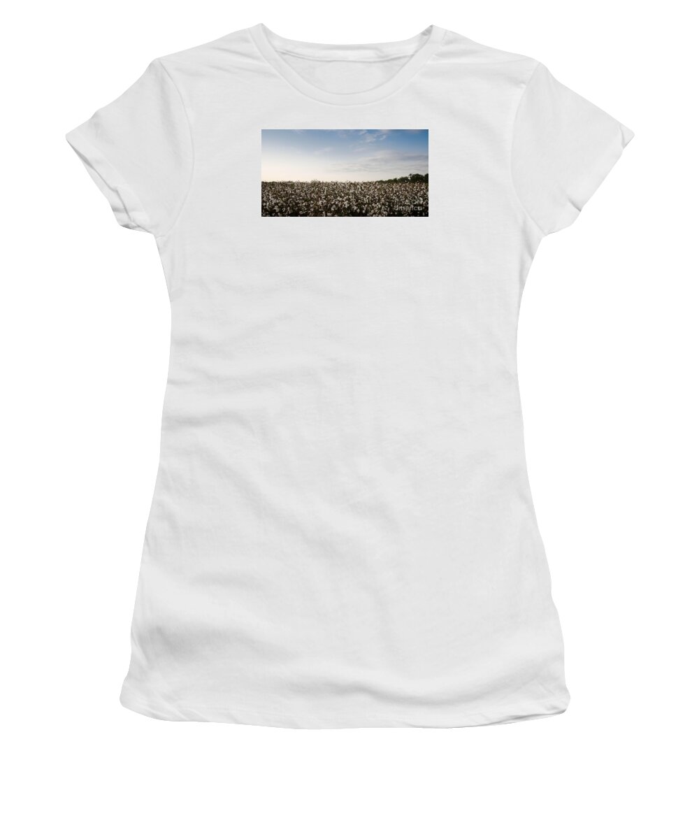Fluffy Women's T-Shirt featuring the photograph Cotton Field 2 by Andrea Anderegg