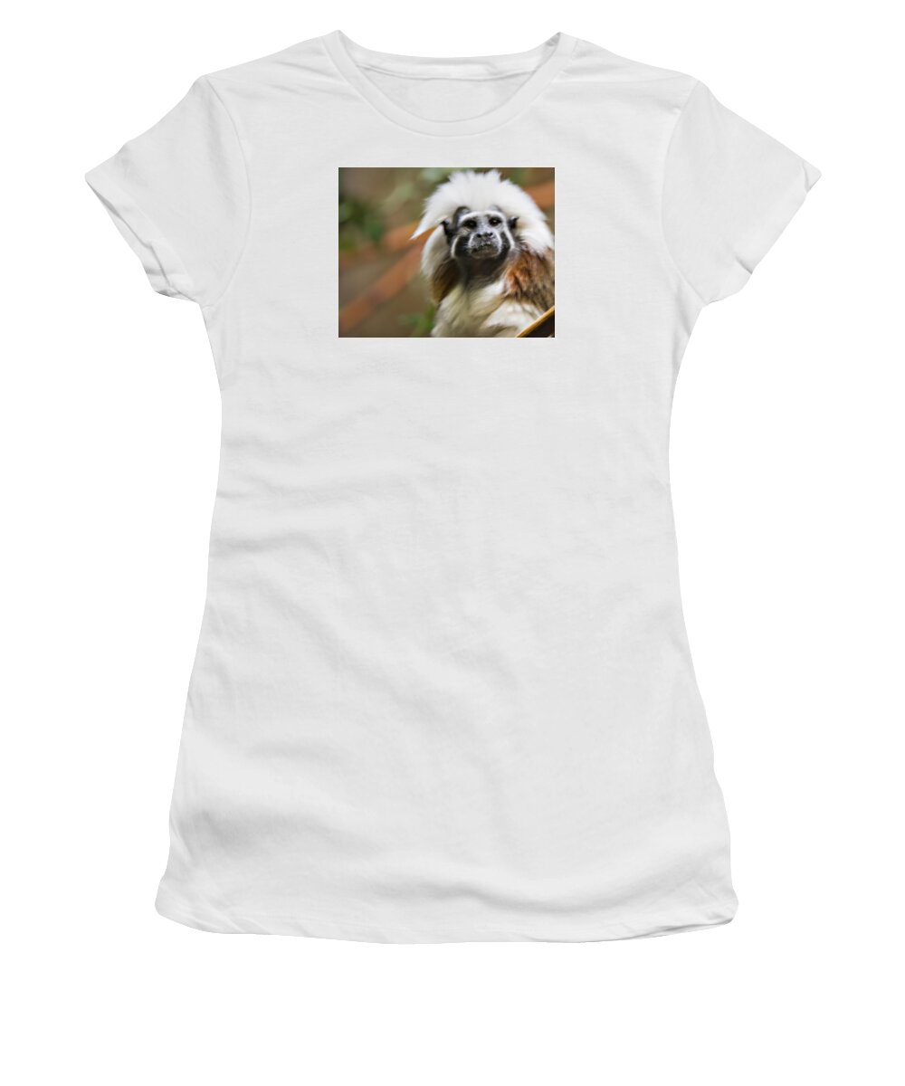 Cotton-top Tamarin Women's T-Shirt featuring the photograph Cotton-top Tamarin _ 1a by Walter Herrit