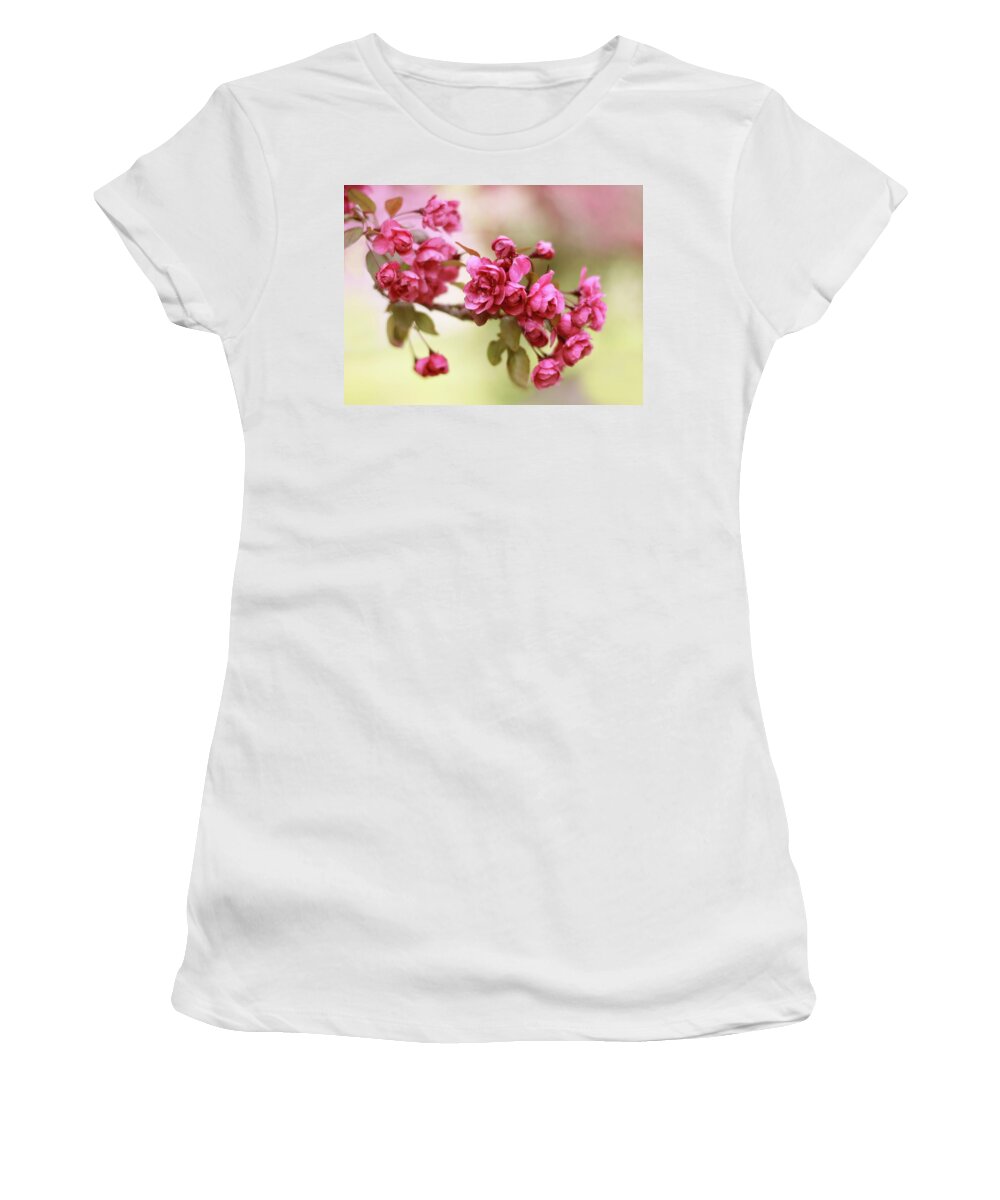 Apple Blossom Women's T-Shirt featuring the photograph Crabapple Blossoms by Jessica Jenney