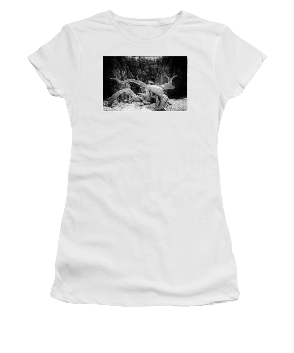 Creatures Women's T-Shirt featuring the photograph Creatures of Bryce Canyon by Jim Cook