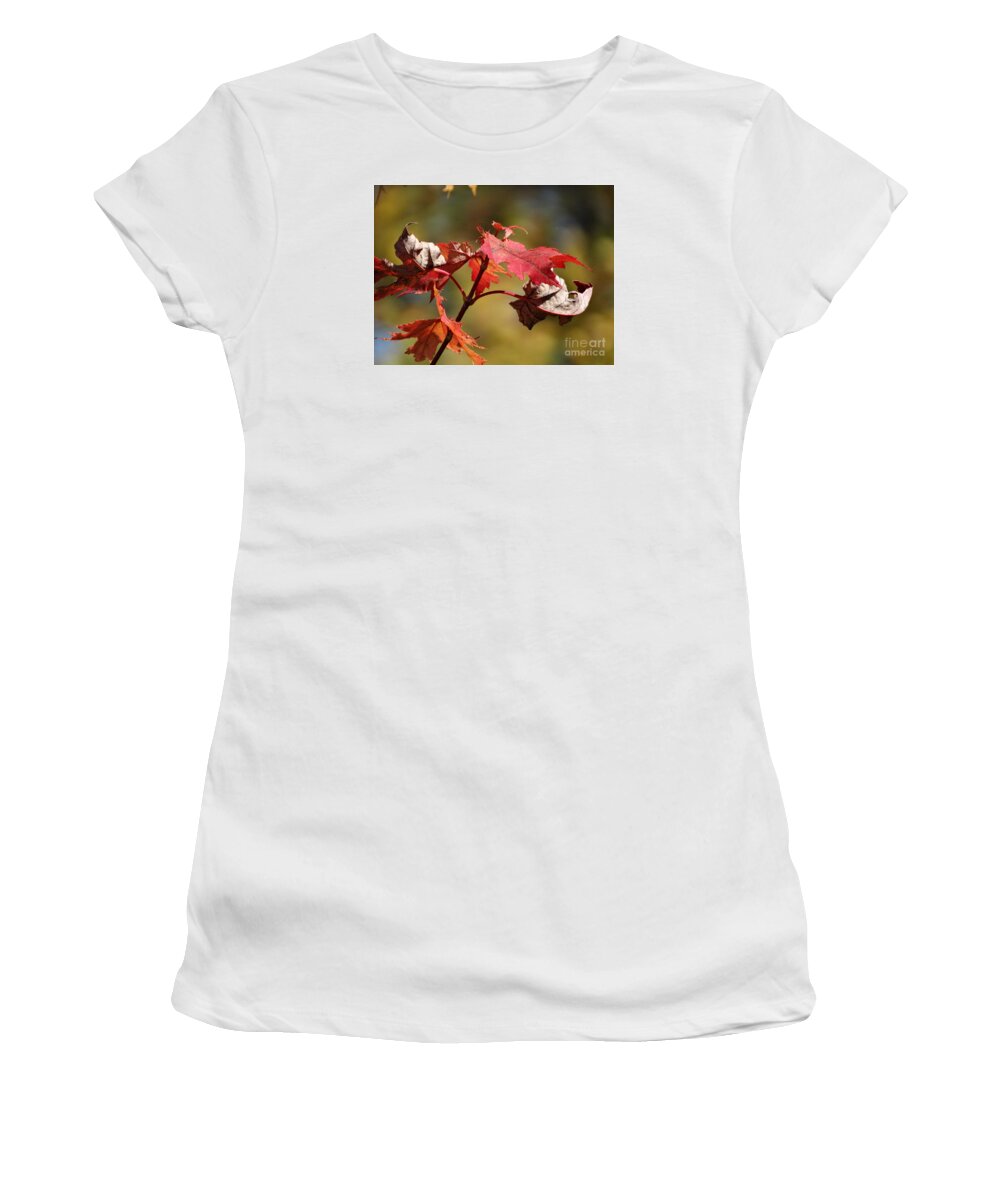 Maple Leaf Women's T-Shirt featuring the photograph Crimson Fall by J L Zarek