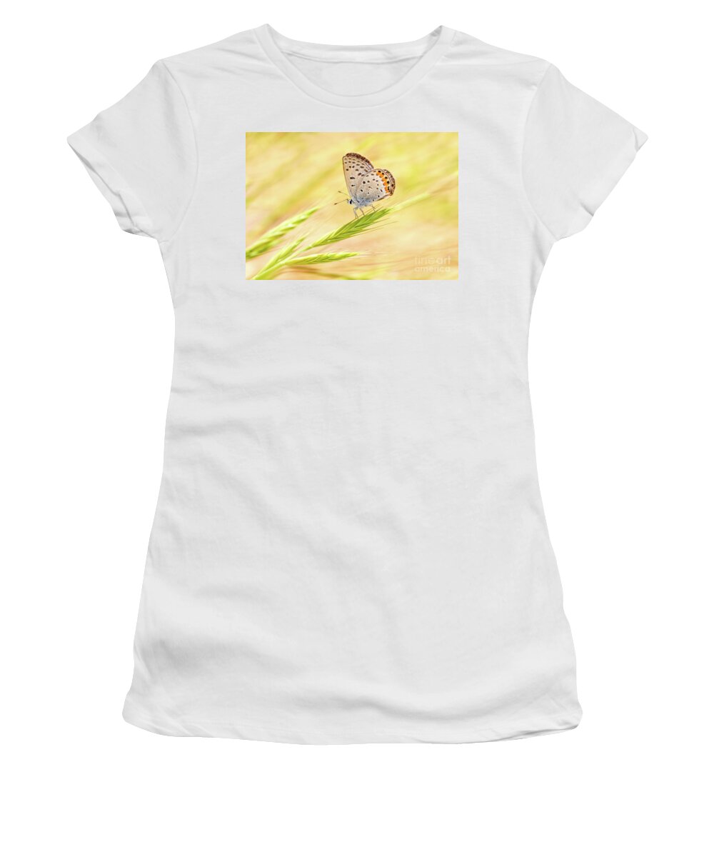 Close-up Women's T-Shirt featuring the photograph Dainty Butterfly by Mimi Ditchie