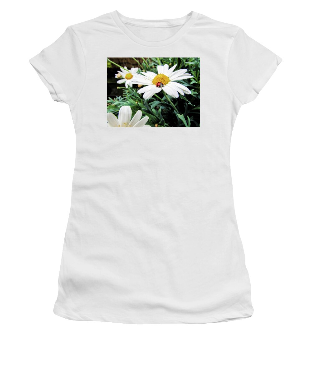 Daisy Flower Women's T-Shirt featuring the photograph Daisy Flowers by Cesar Vieira