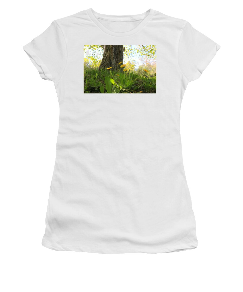 Canada Women's T-Shirt featuring the photograph Dandelions and Tree by Gary Corbett