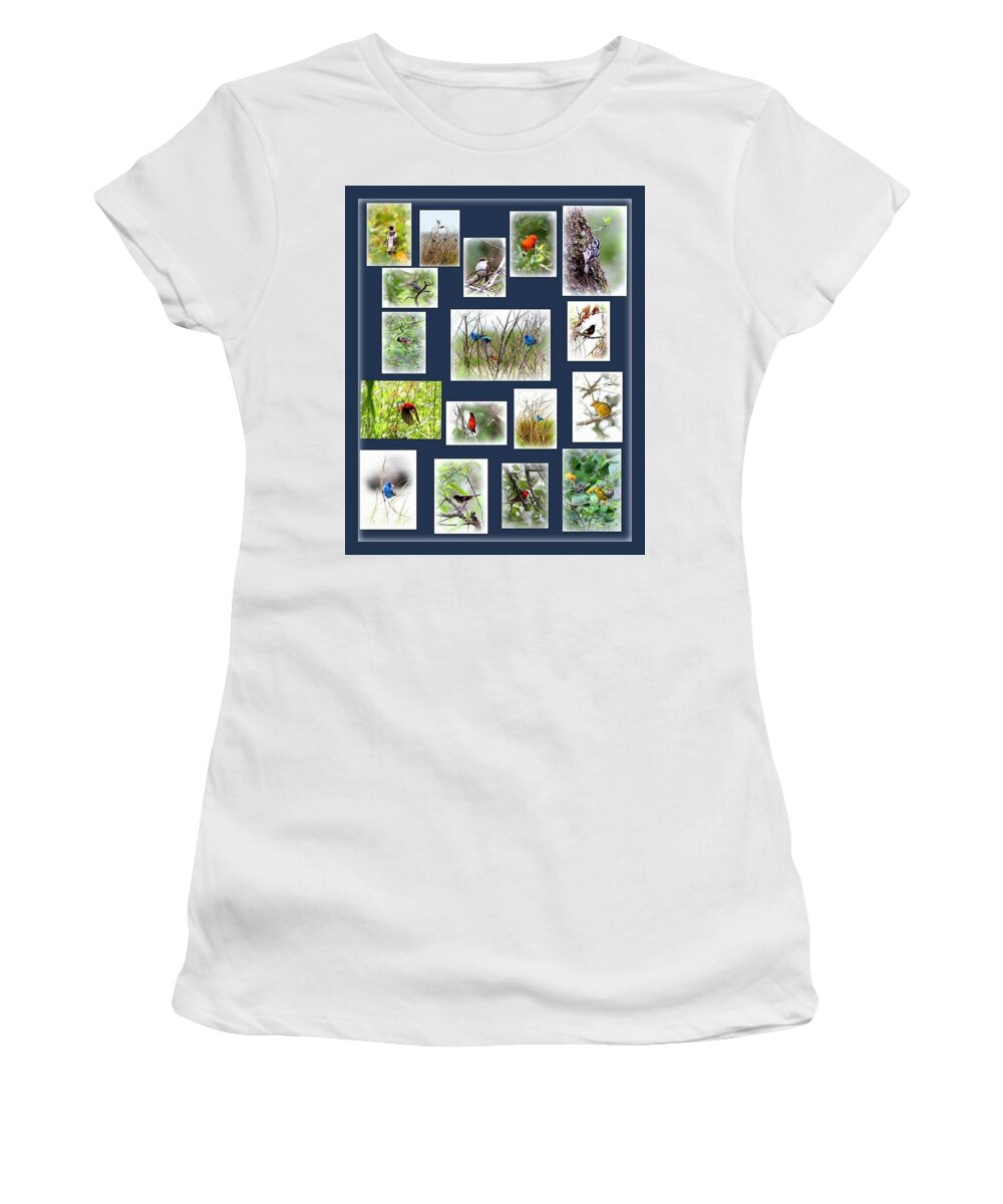 Dauphin Island Women's T-Shirt featuring the photograph Dauphin Island by Travis Truelove