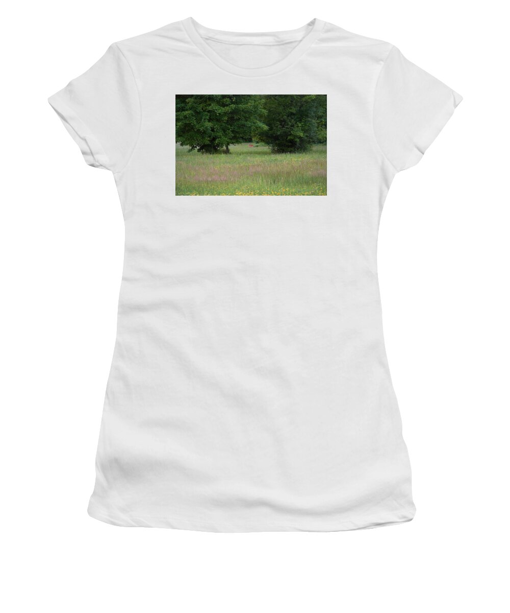 Lise Winne Women's T-Shirt featuring the photograph Deer in a Meadow at Dawn by Lise Winne