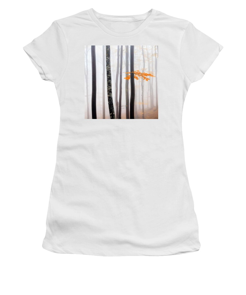 Balkan Mountains Women's T-Shirt featuring the photograph Delicate Forest by Evgeni Dinev