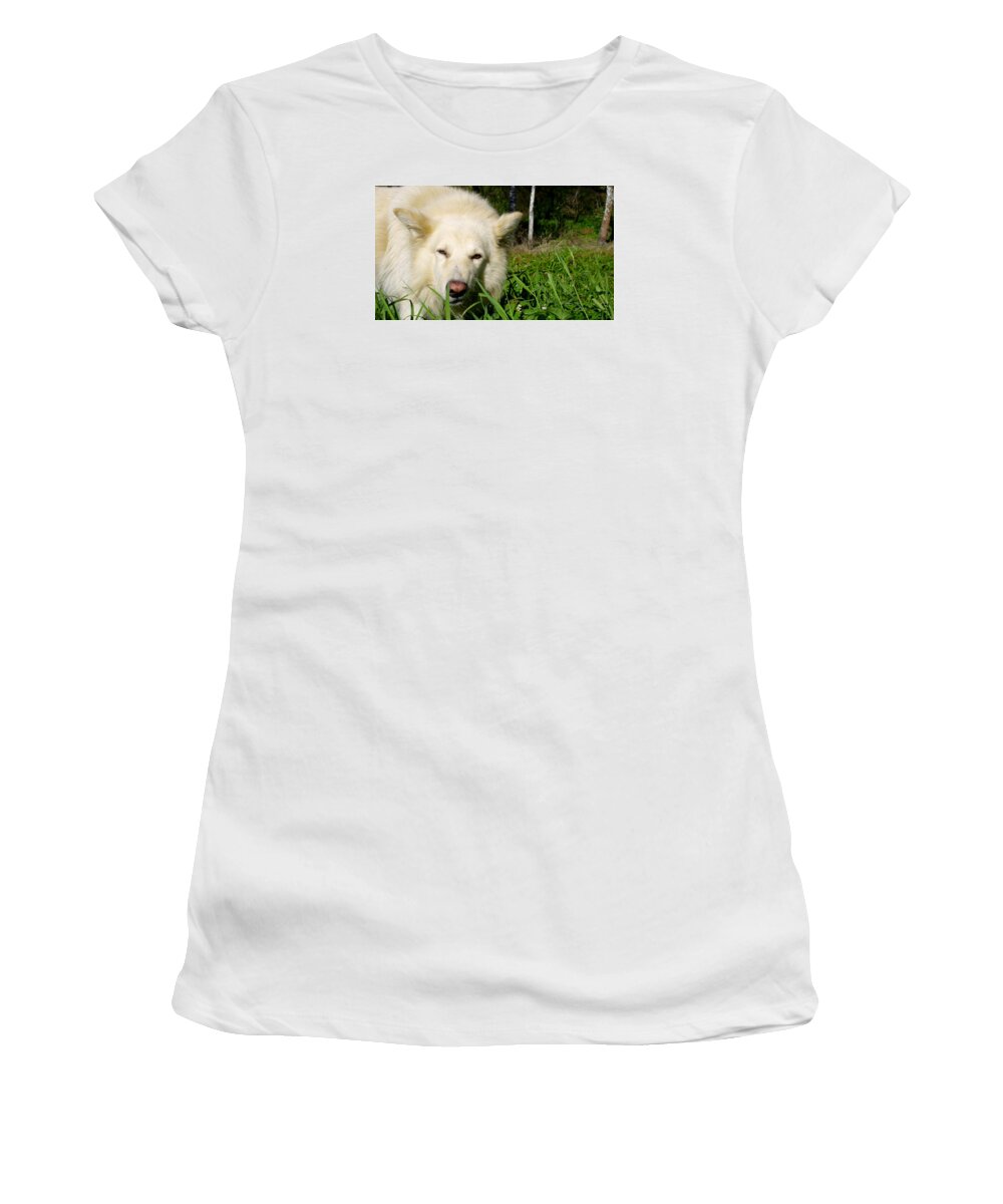 Grass Women's T-Shirt featuring the photograph Dog by Vladyslav Zinkevych