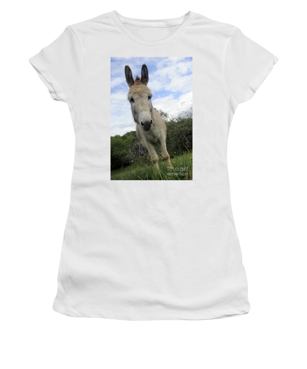 Donkey Women's T-Shirt featuring the photograph Donkeys #1362 by Carien Schippers