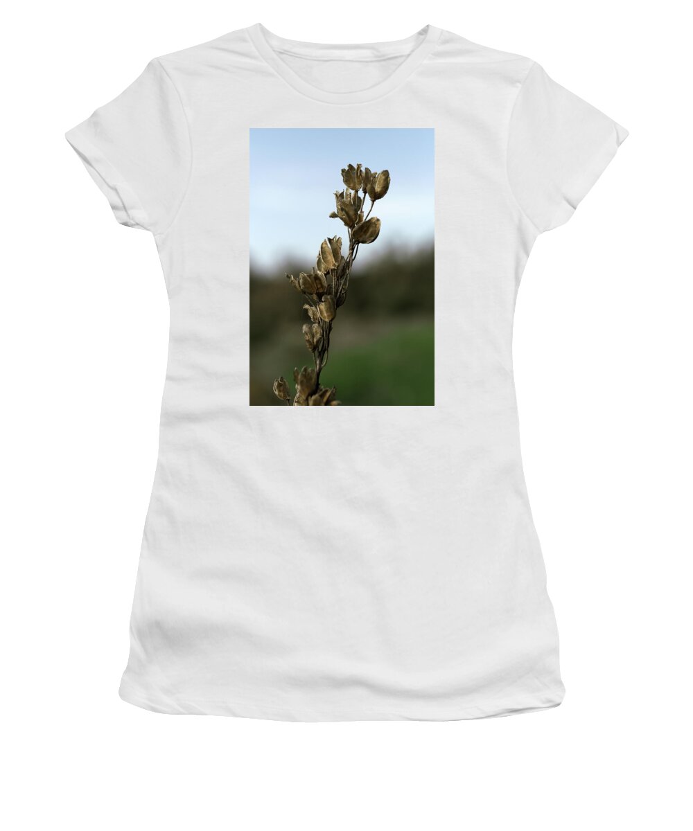 Tel Aviv Women's T-Shirt featuring the photograph Drying Flower by Shlomo Zangilevitch