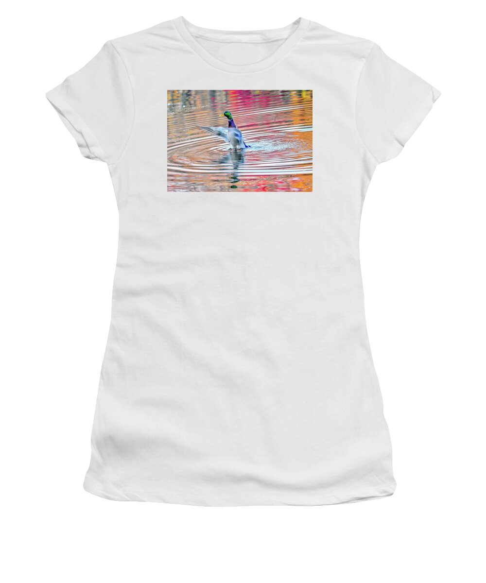 Anas Women's T-Shirt featuring the photograph Duck on an Autumn pond in the Chesapeake Bay Maryland by Patrick Wolf