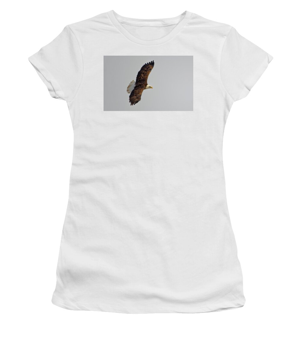 Bald Eagle Women's T-Shirt featuring the photograph Eagle in flight by Peter Ponzio