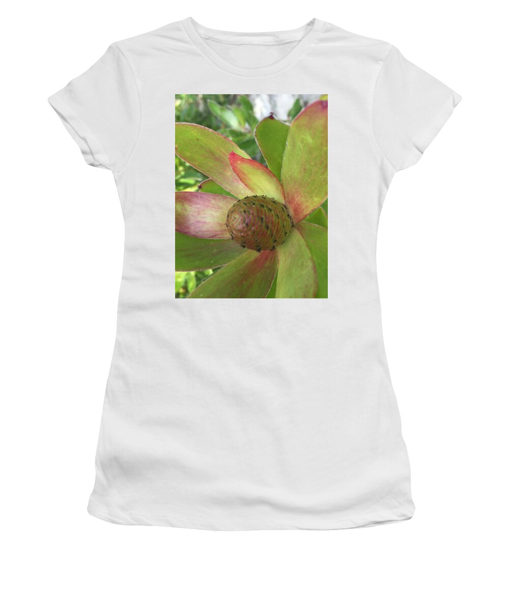Flower Women's T-Shirt featuring the mixed media Easter flower by Lauren Serene