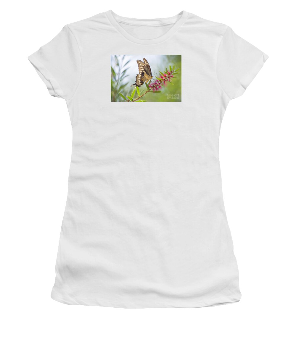 Eastern Tiger Swallowtail Butterfly Women's T-Shirt featuring the photograph Eastern Tiger Swallowtail Butterfly on Bottlebrush by Bonnie Barry