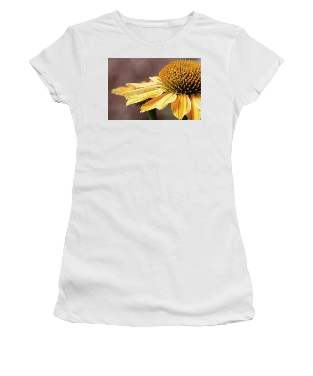 Echinacea Women's T-Shirt featuring the photograph Echinacea, Cheyenne Spirit - by Julie Weber