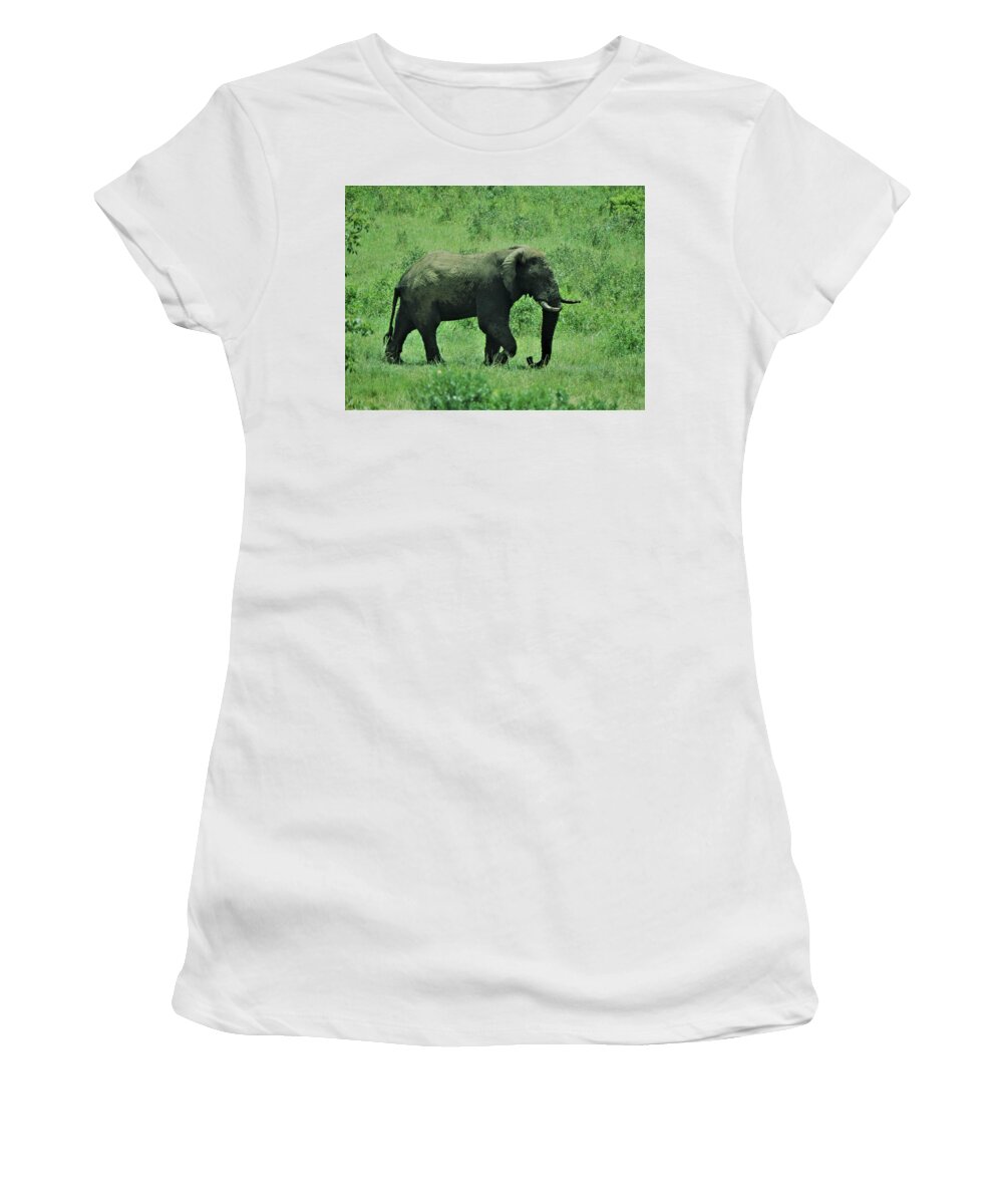 Elephant Women's T-Shirt featuring the photograph Elephant Walks by Vijay Sharon Govender
