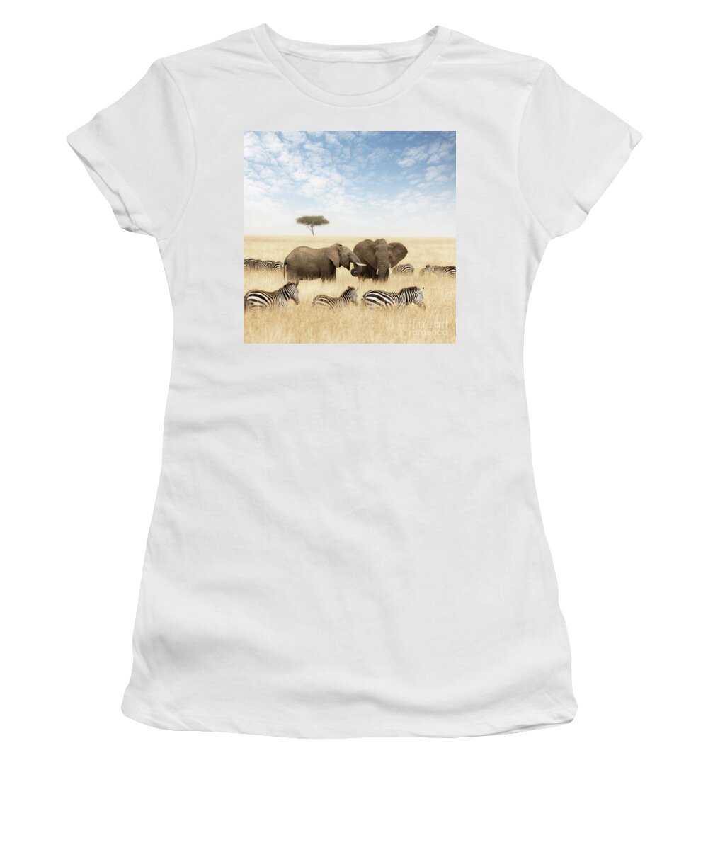 Elephant Women's T-Shirt featuring the photograph Elephants and zebras in the grasslands of the Masai Mara by Jane Rix