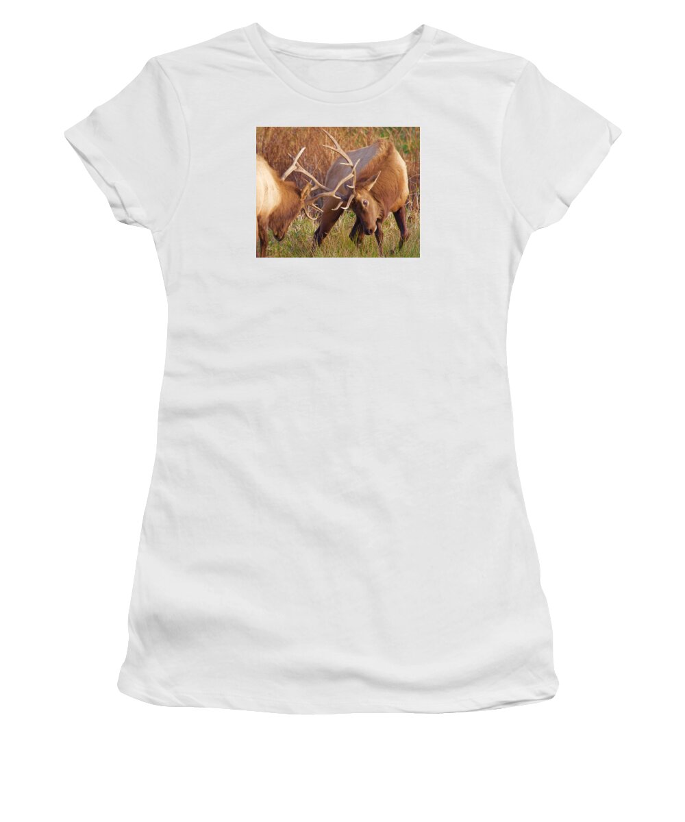 Elk Women's T-Shirt featuring the photograph Elk Tussle by Todd Kreuter