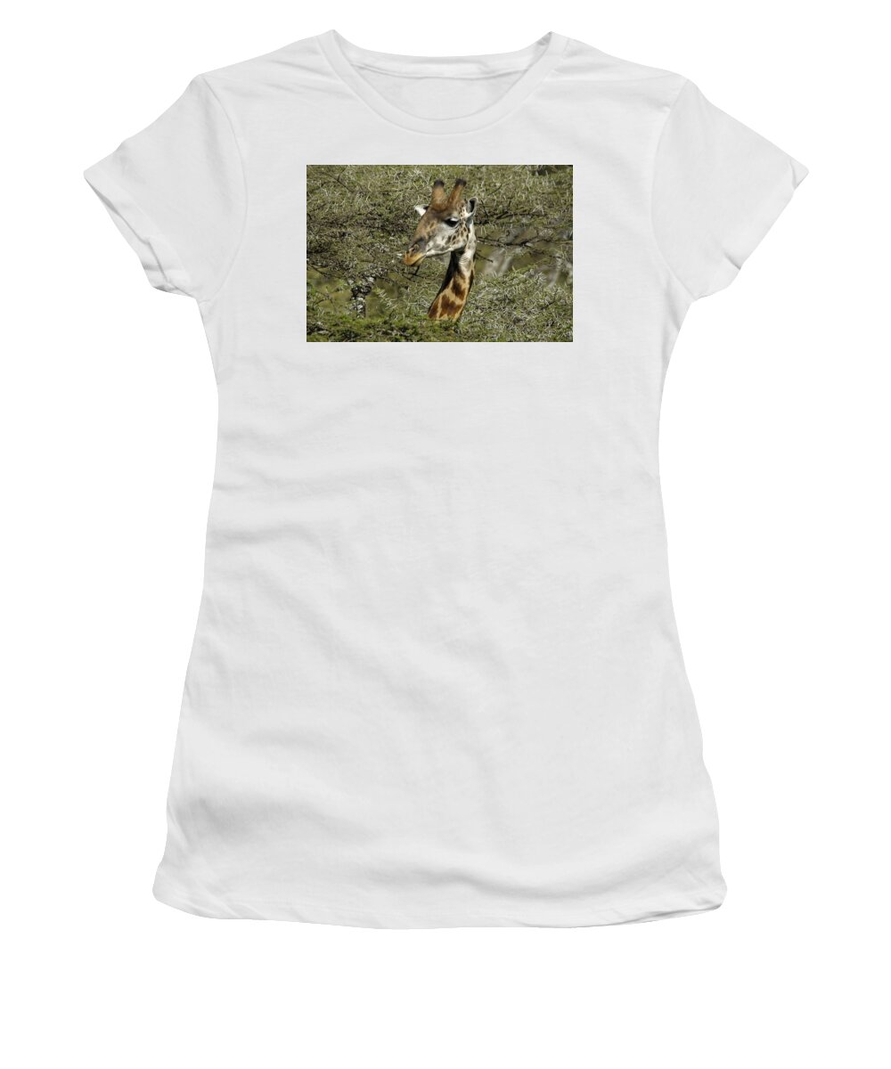 Africa Women's T-Shirt featuring the photograph Emerging From the Thorns by Michele Burgess