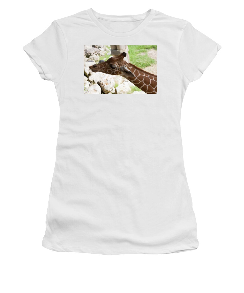 Giraffe Women's T-Shirt featuring the photograph Enjoying a Snack by Diane Macdonald
