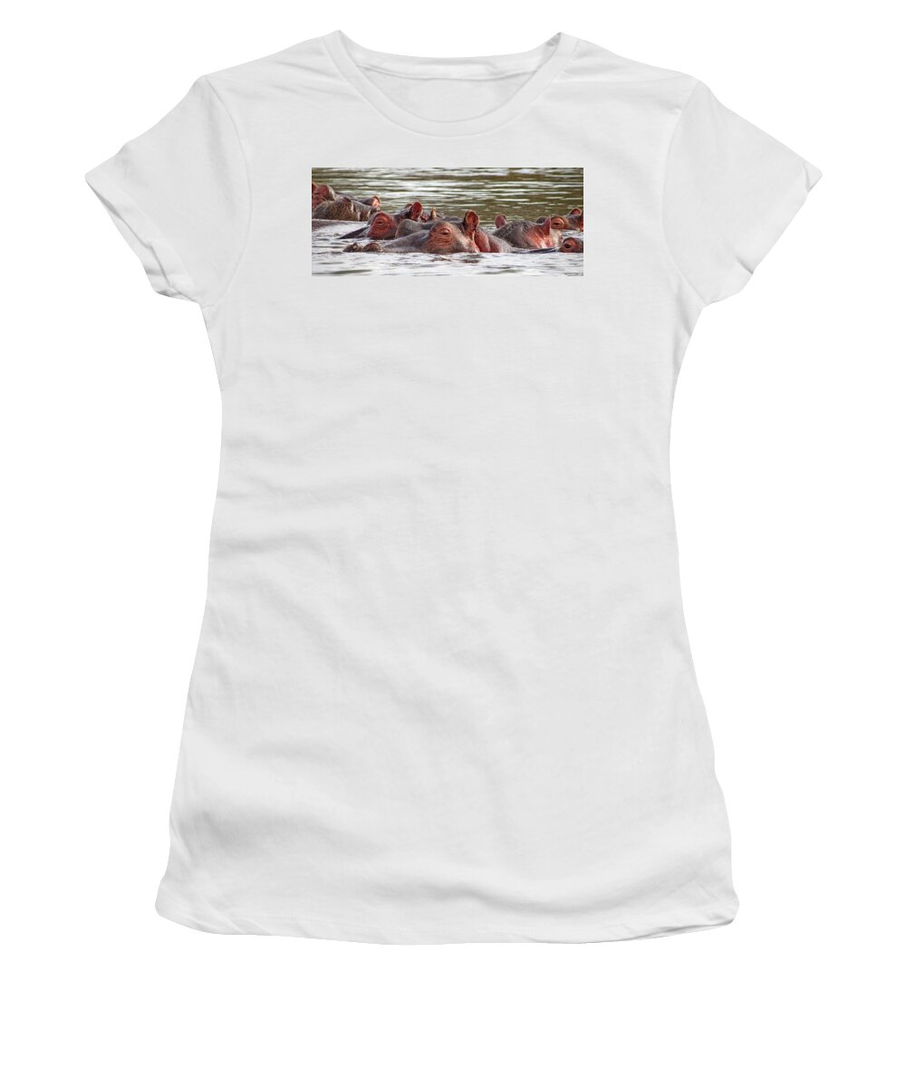 Safar Women's T-Shirt featuring the photograph Eyes, Ears, Noses by Bart Blumberg
